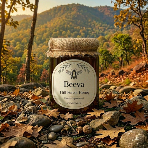 Hill Forest Honey | Single-Origin Indian Forest Honey |